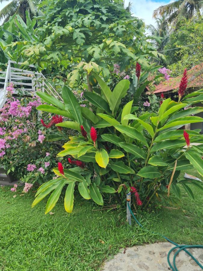Villa Sonrisa Casa De Huespedes Las Terrenas Luaran gambar