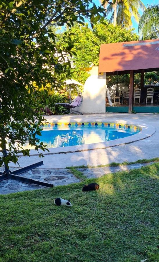 Villa Sonrisa Casa De Huespedes Las Terrenas Luaran gambar
